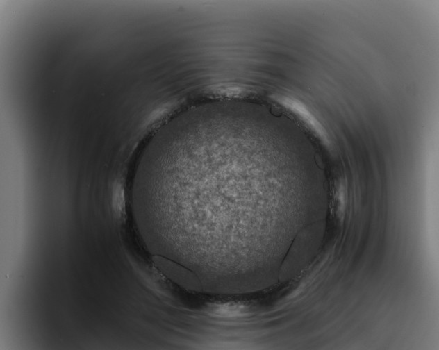 X0000094950500200712061254