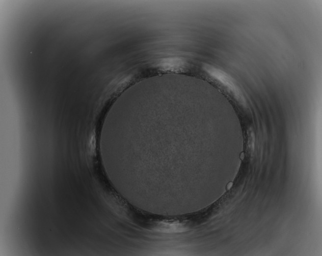 X0000094950502200712061254