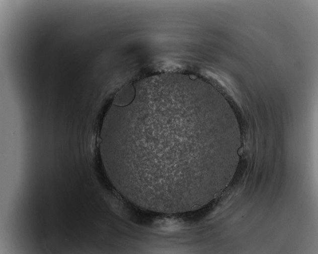 X0000094950503200712061254