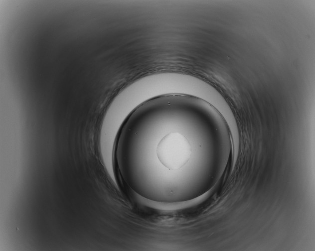 X0000094950504200712061254