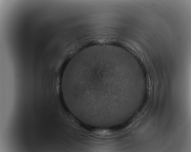 X0000094950507200712061254