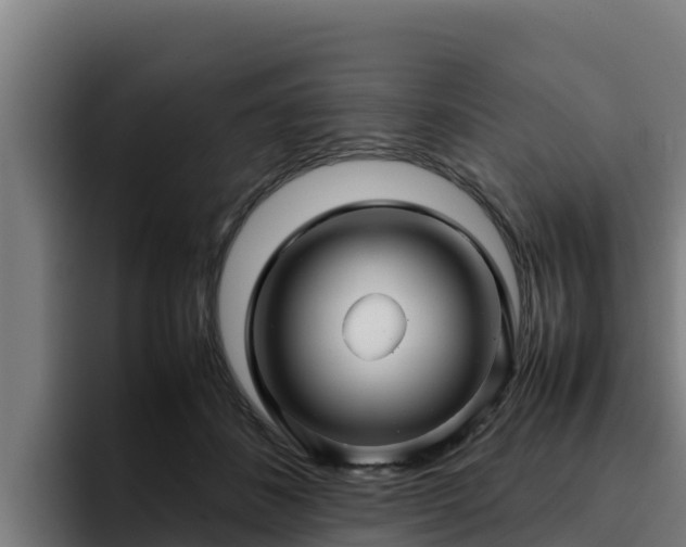 X0000094950508200712061254