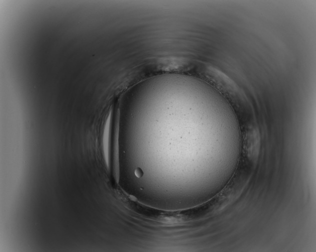 X0000094950510200712061254