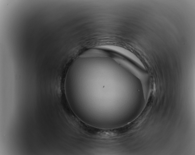 X0000094950512200712061254