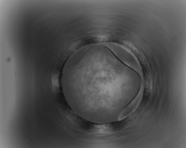 X0000094950516200712061254