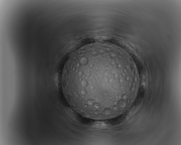 X0000094950519200712061254