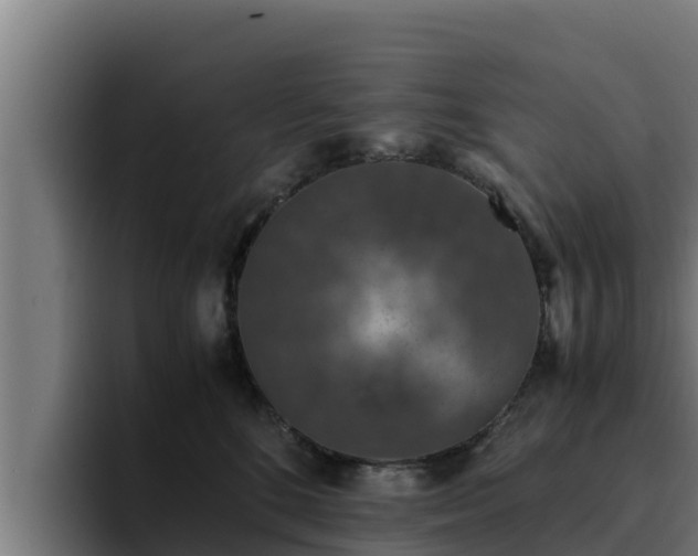 X0000094950520200712061254