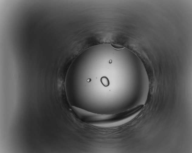 X0000094950521200712061254