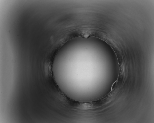 X0000094950522200712061254