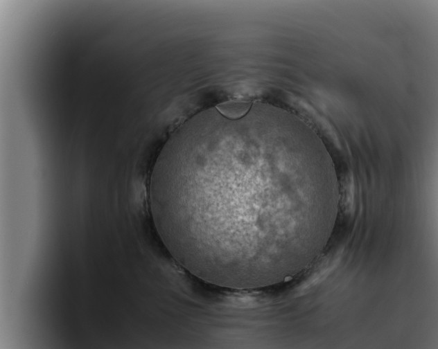 X0000094950523200712061254