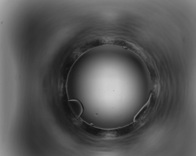 X0000094950525200712061254