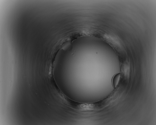 X0000094950526200712061254