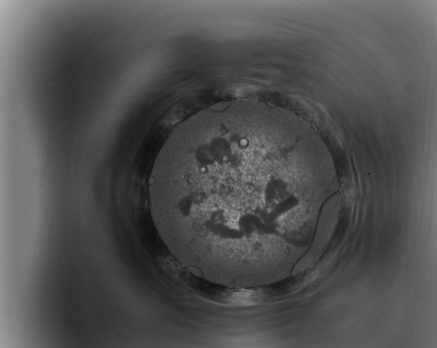 X0000094950527200712061254