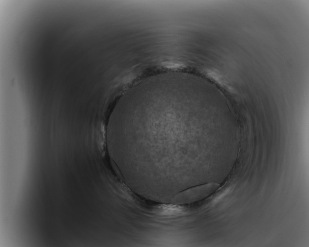 X0000094950528200712061254