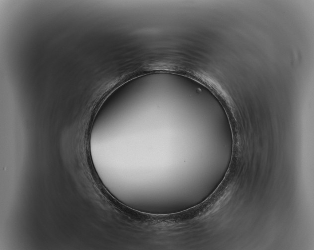 X0000094950529200712061253