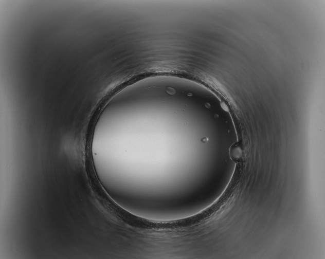 X0000094950530200712061253