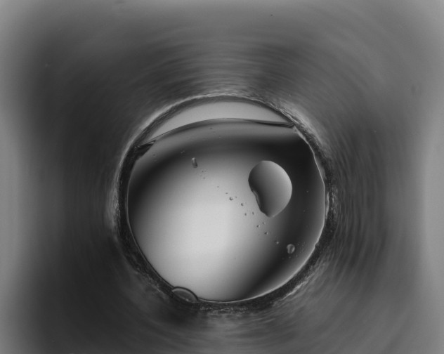 X0000094950532200712061253