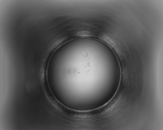 X0000094950533200712061253