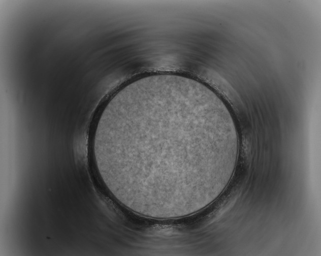 X0000094950534200712061253