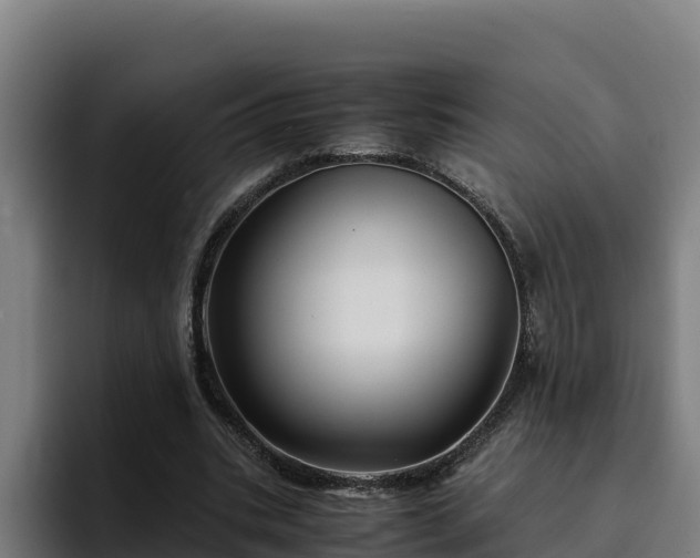 X0000094950535200712061253