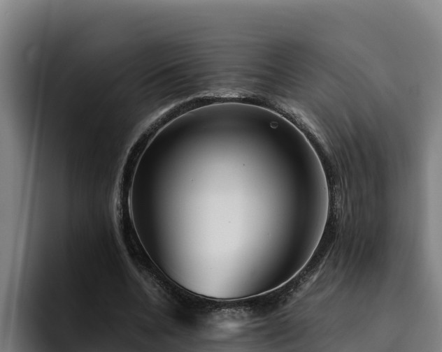 X0000094950536200712061253