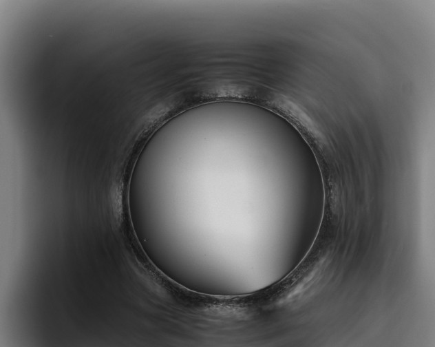 X0000094950537200712061253