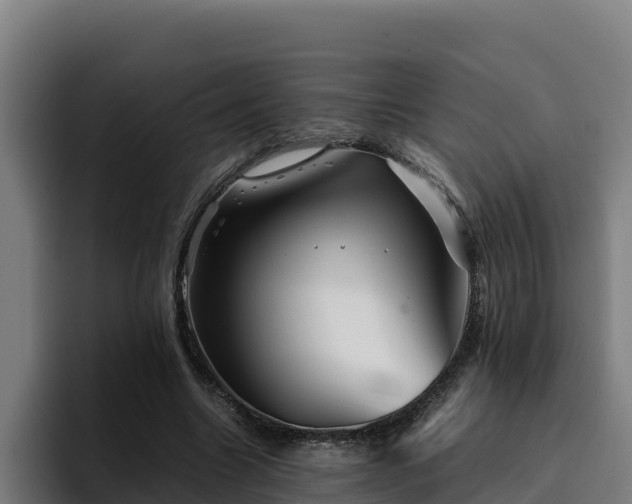 X0000094950538200712061253