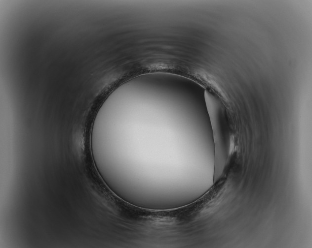 X0000094950539200712061253