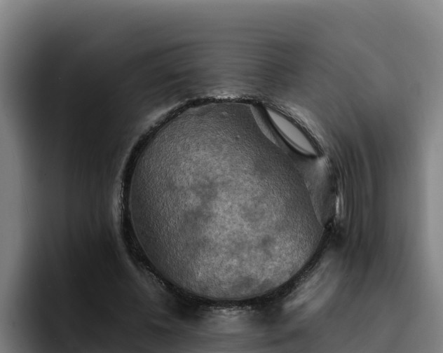 X0000094950540200712061253