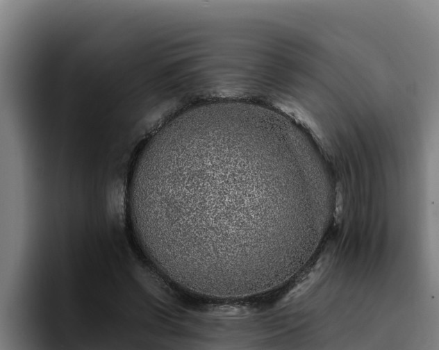 X0000094950542200712061253