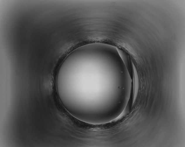 X0000094950544200712061253