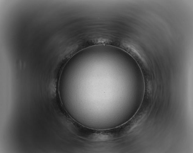 X0000094950545200712061253