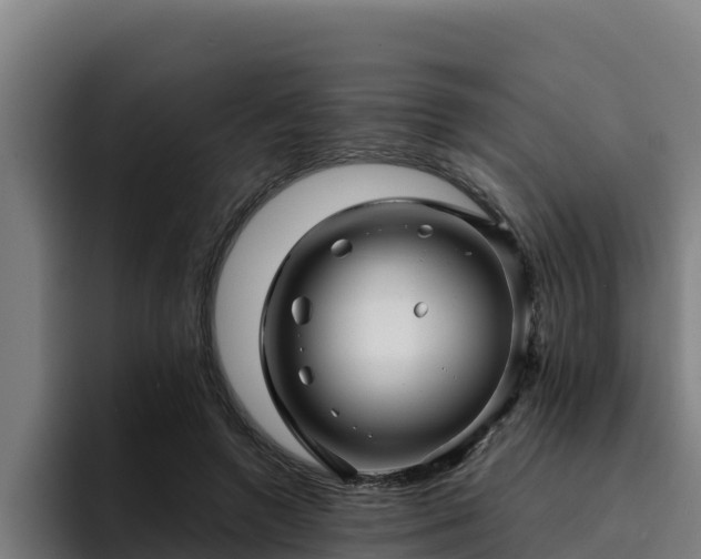 X0000094950546200712061253