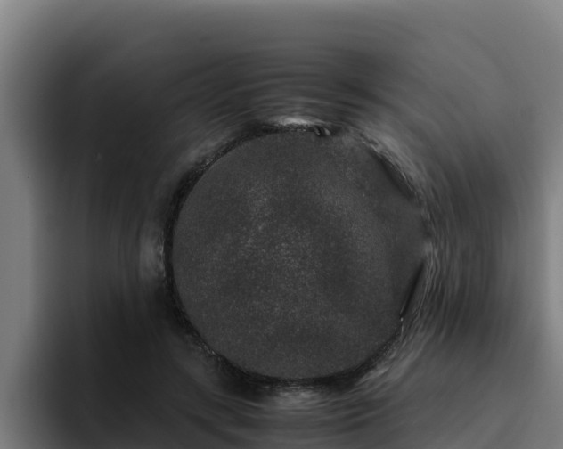 X0000094950547200712061253