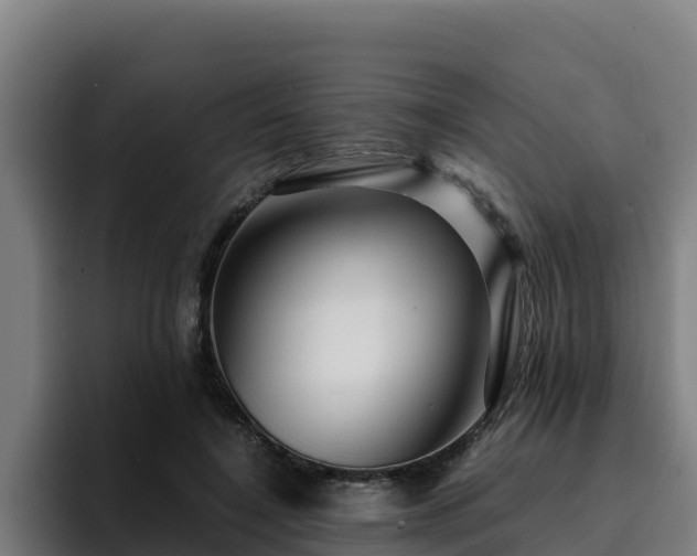 X0000094950548200712061253