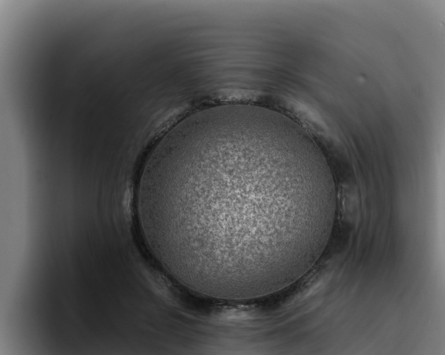 X0000094950550200712061253