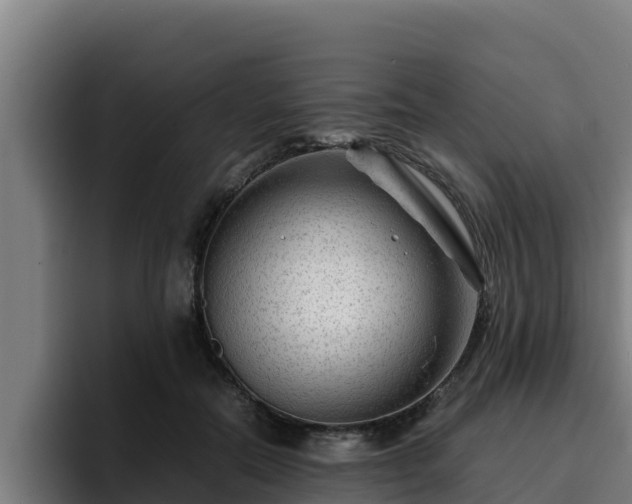 X0000094950554200712061253