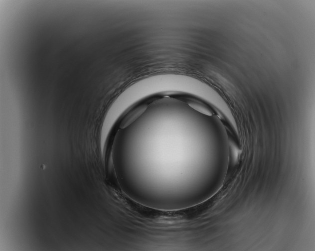 X0000094950556200712061253