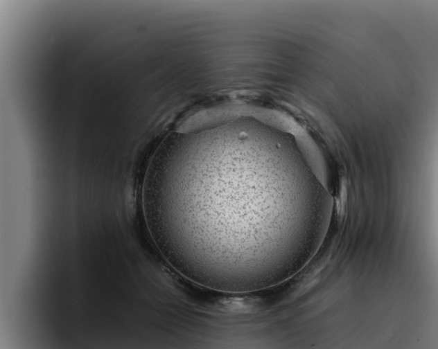 X0000094950558200712061253