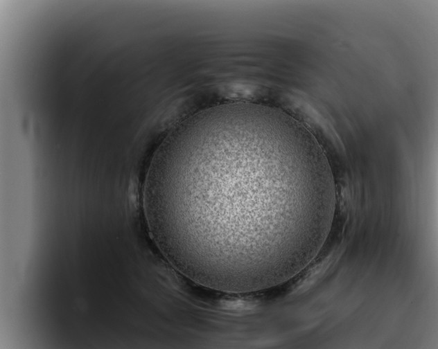 X0000094950561200712061253