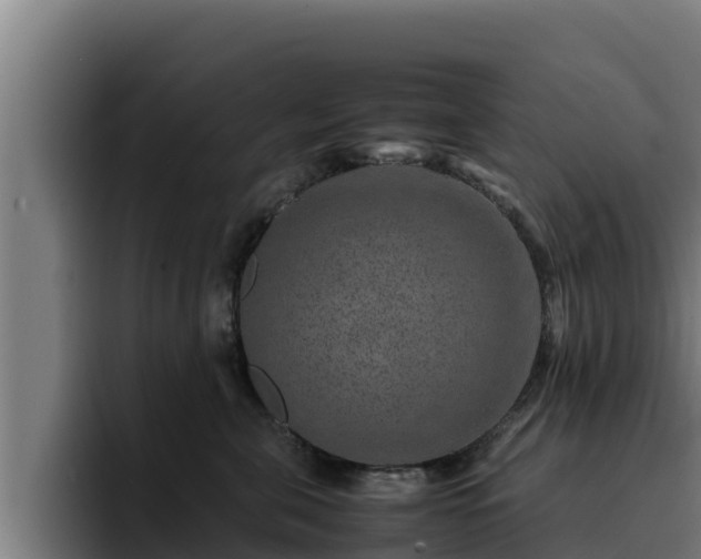 X0000094950571200712061253