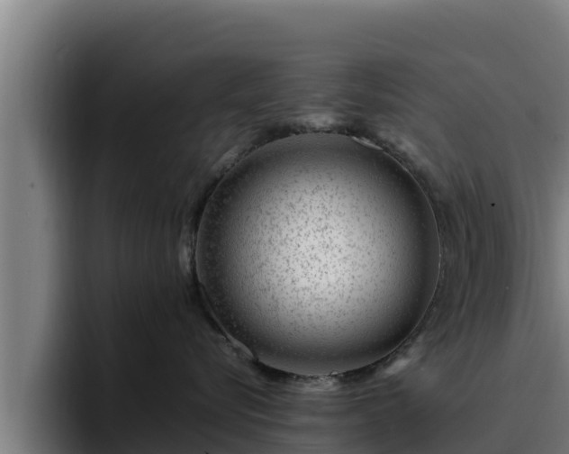 X0000094950576200712061254