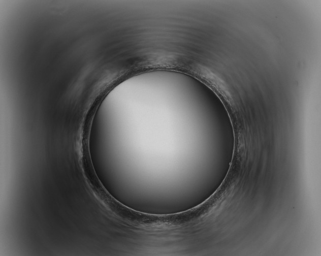 X0000094950578200712061253