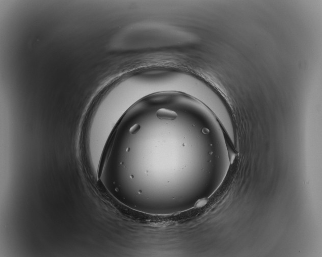 X0000094950579200712061253