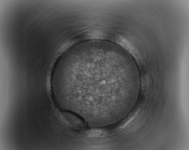 X0000094950581200712061253