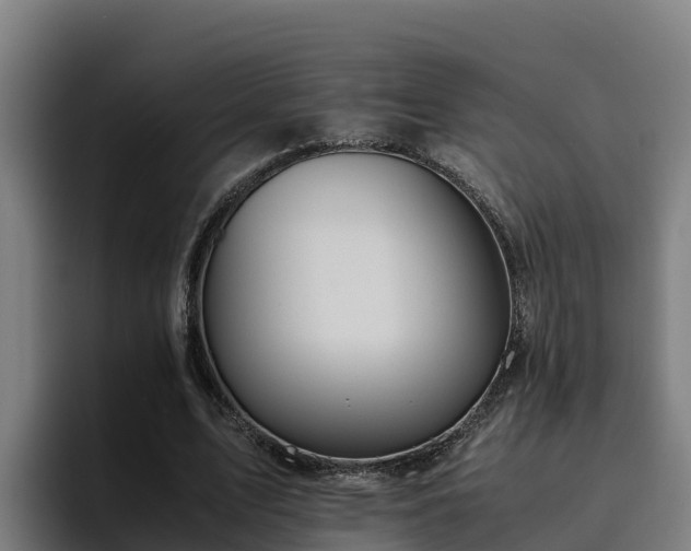 X0000094950583200712061253