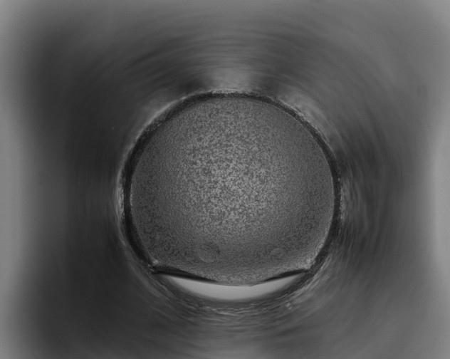 X0000094950584200712061253