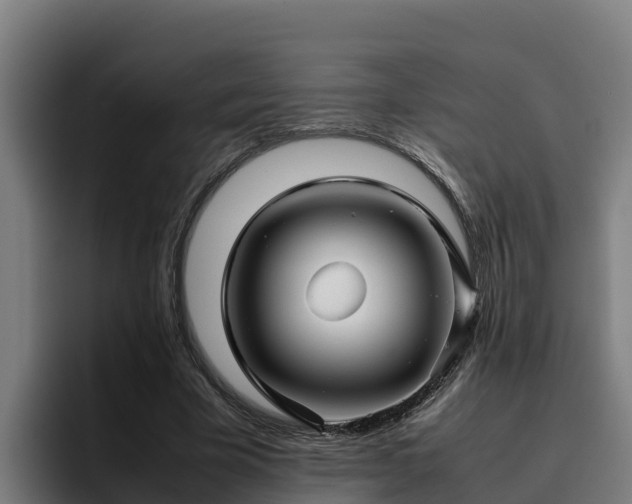 X0000094950585200712061253