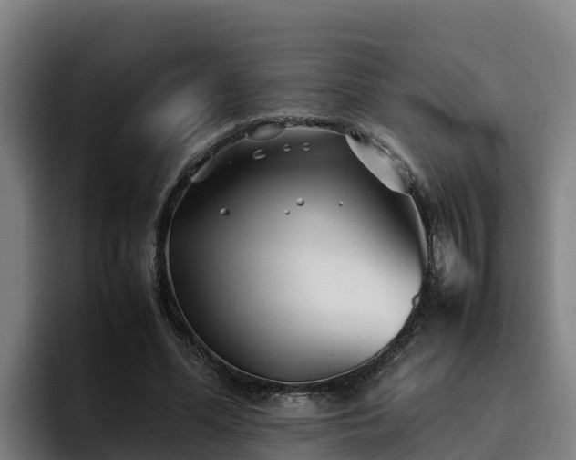 X0000094950588200712061253