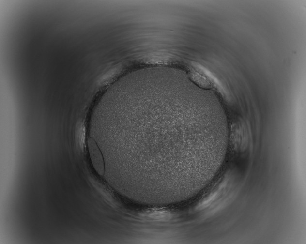 X0000094950589200712061253